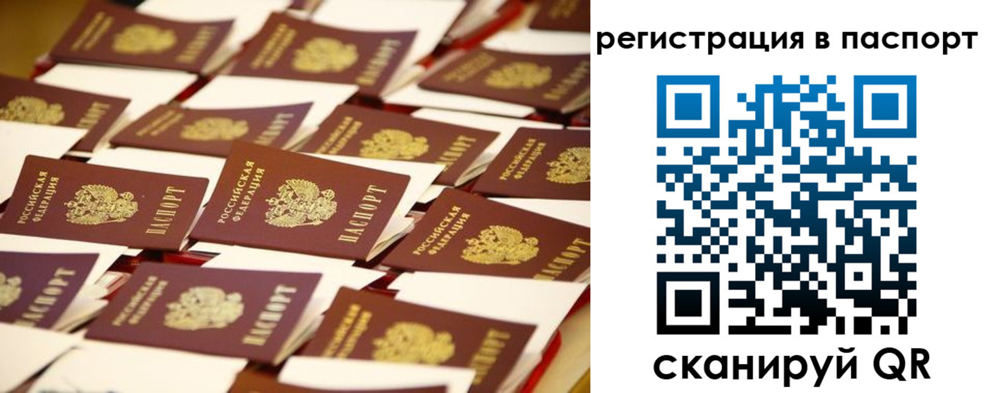прописка гарантия в Менделеевске